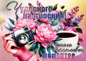 Чудесного настроения и много счастливых моментов