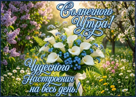 Чудесного настроения на весь день!