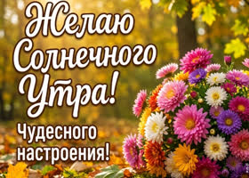 Чудесного настроения, желаю много улыбок