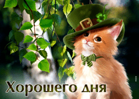 Чувственная открытка с котиком Хорошего дня!