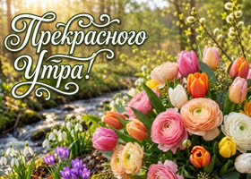Цветущего весеннего утра