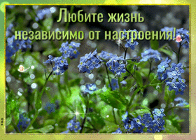 Дарю хорошее настроение, улыбнись скорей