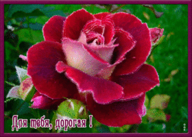 Для тебя дорогая подруга моя