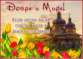 Добра и Мира! Светлых мыслей, радостной жизни!