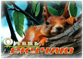 Добрая гиф-открытка Очень скучаю