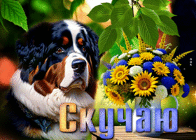 Добрая и сердечная открытка с песиком Скучаю