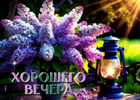 Добродушная и красивая весенняя гиф-открытка Хорошего вечера