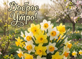 Доброе утро, дорогой мой человек
