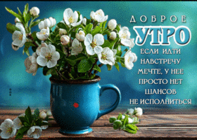 Доброе утро! Если идти навстречу мечте, у нее просто нет шансов не исполнится