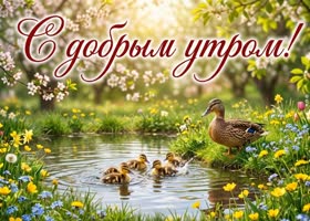 Доброе утро и душевной гармонии