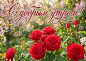 Доброе утро и отличного настроения