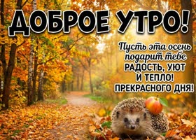 Доброе утро! Осень раскрашивает мир в особенные цвета.