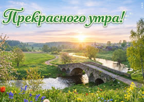 Доброе утро! Пусть будет свежо и приятно.