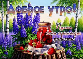 Доброе утро! Пусть день принесет радость