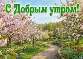 Доброе утро! Пусть этот день принесёт только хорошие новости