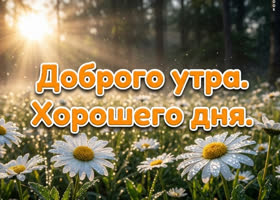 Доброе утро! Пусть лето радует каждый час.