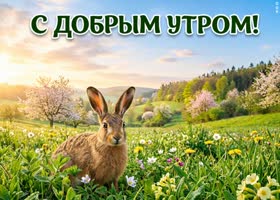 Доброе утро! Пусть сегодня найдётся повод улыбнуться