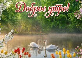 Доброе утро! Пусть сегодня всё идёт легко и красиво