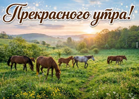 Доброе утро! Пусть всё получится.