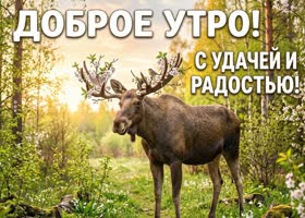 Доброе утро, счастья тебе