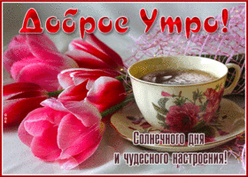 Доброе утро! Солнечного дня и чудесного настроения!