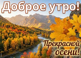 Доброе утро! Время наслаждаться осенью и её красотой.