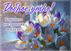 Доброе утро! Хорошего настроения и удачи