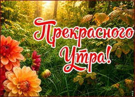 Доброе утро! Желаю тебе радости, уюта