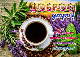 Доброе утро! Желаю яркого солнца и позитивного настроя!