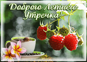 Доброго летнего утречка