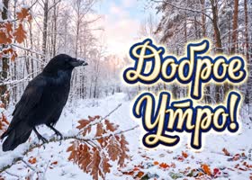 Доброго утра! Пусть снег за окном сделает этот день особенно светлым и приятным.
