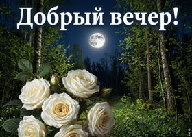 Доброго вечера и хорошего настроения
