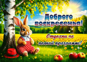 Доброго воскресенья! Отдохни по полной программе