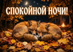 Доброй ночи и красивого осеннего настроения.