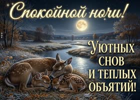 Доброй ночи и приятного завершения дня.