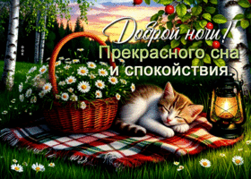 Доброй ночи! Прекрасного сна и спокойствия
