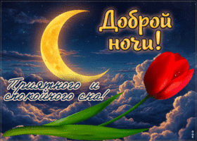 Доброй ночи! Приятного и спокойного сна