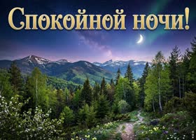 Доброй ночи! Пусть ночь подарит покой и тепло