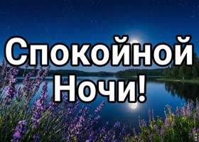 Доброй ночи, пусть сон будет сладким, как ягоды