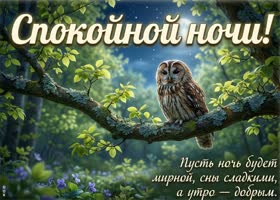 Доброй ночи! Пусть тебя окружает тишина и уют