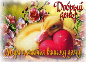 Добрый день! Мира и счастья вашему дому