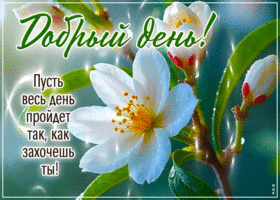 Добрый день! Пусть весь день пройдет так, как захочешь ты