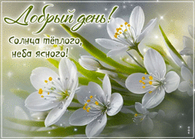 Добрый день! Солнца теплого, неба ясного