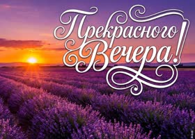 Добрый вечер! Пусть будет мягко и тихо.