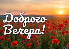 Добрый вечер! Пусть закат радует.