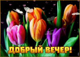 Добрым людям - добрый вечер