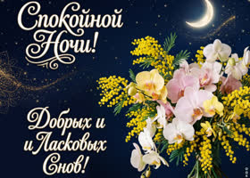 Добрых и ласковых снов
