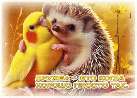 Дружба - это когда хорошо просто так