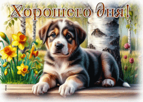 Дружелюбная и добрая весенняя гиф-открытка Хорошего дня