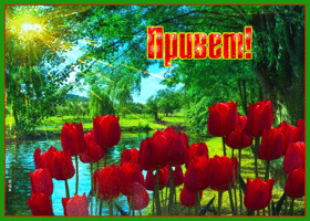 Дружелюбный приветик